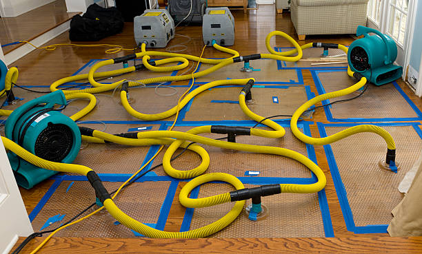 Professional Storm Water Damage Restoration technician working in Hudsonville, MI